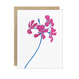 Pelargonium Blank Card