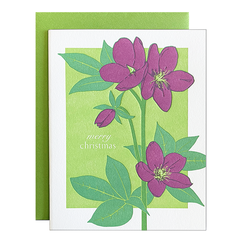 Lenten Rose Christmas Card