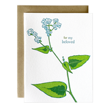 Persicaria Beloved Card